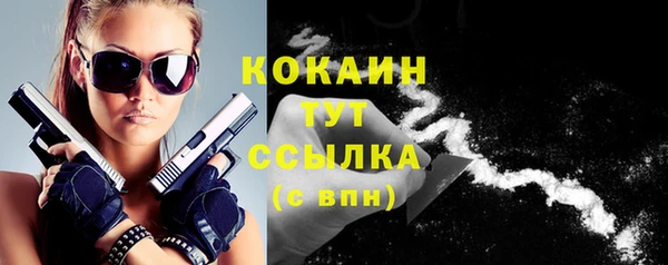 Альфа ПВП Инта