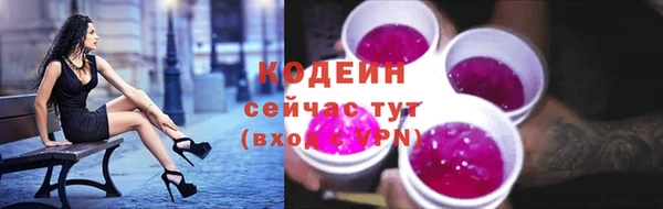 Альфа ПВП Инта