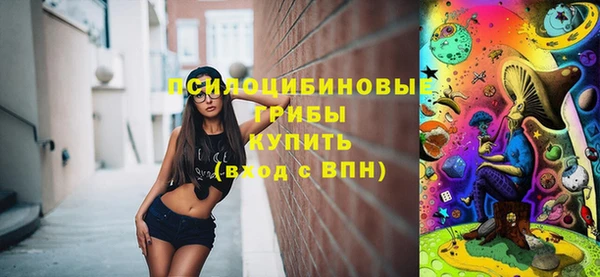 Альфа ПВП Инта