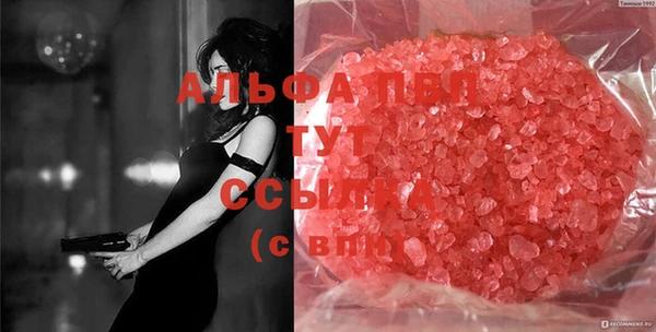 Альфа ПВП Инта