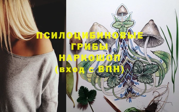 СК Иннополис