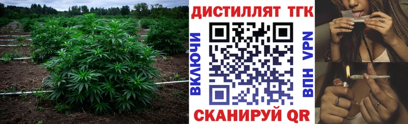 Дистиллят ТГК концентрат  Купить где  Крым 