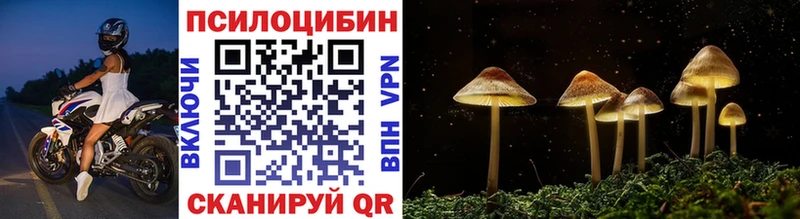 Псилоцибиновые грибы Cubensis  Купить  Крым 